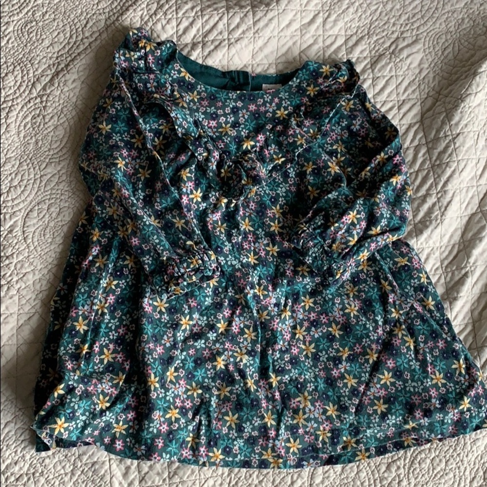 Green floral fall winter dress baby gap 2T